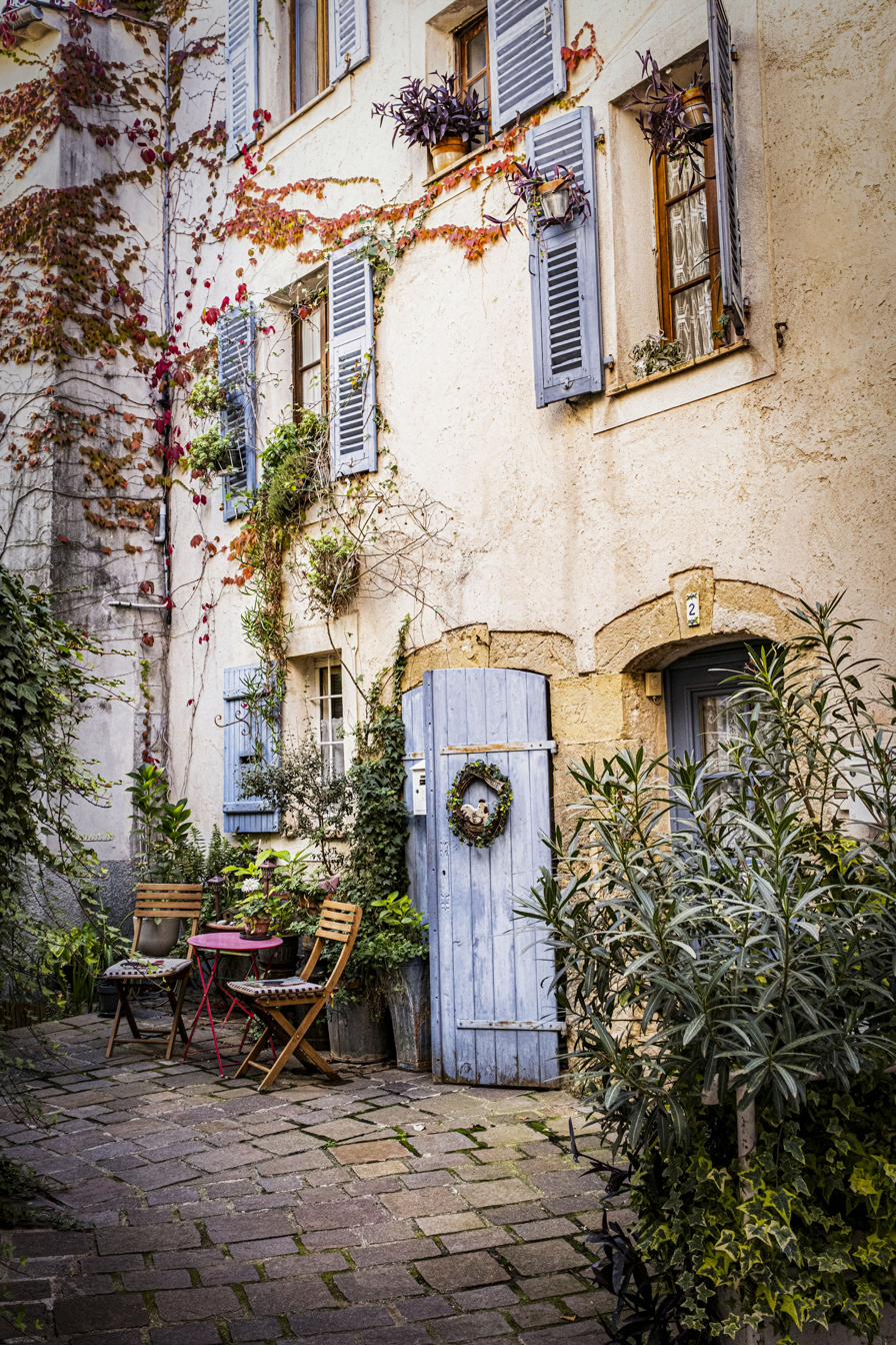 Charming French apartment entrance with blue shutters and climbing vines